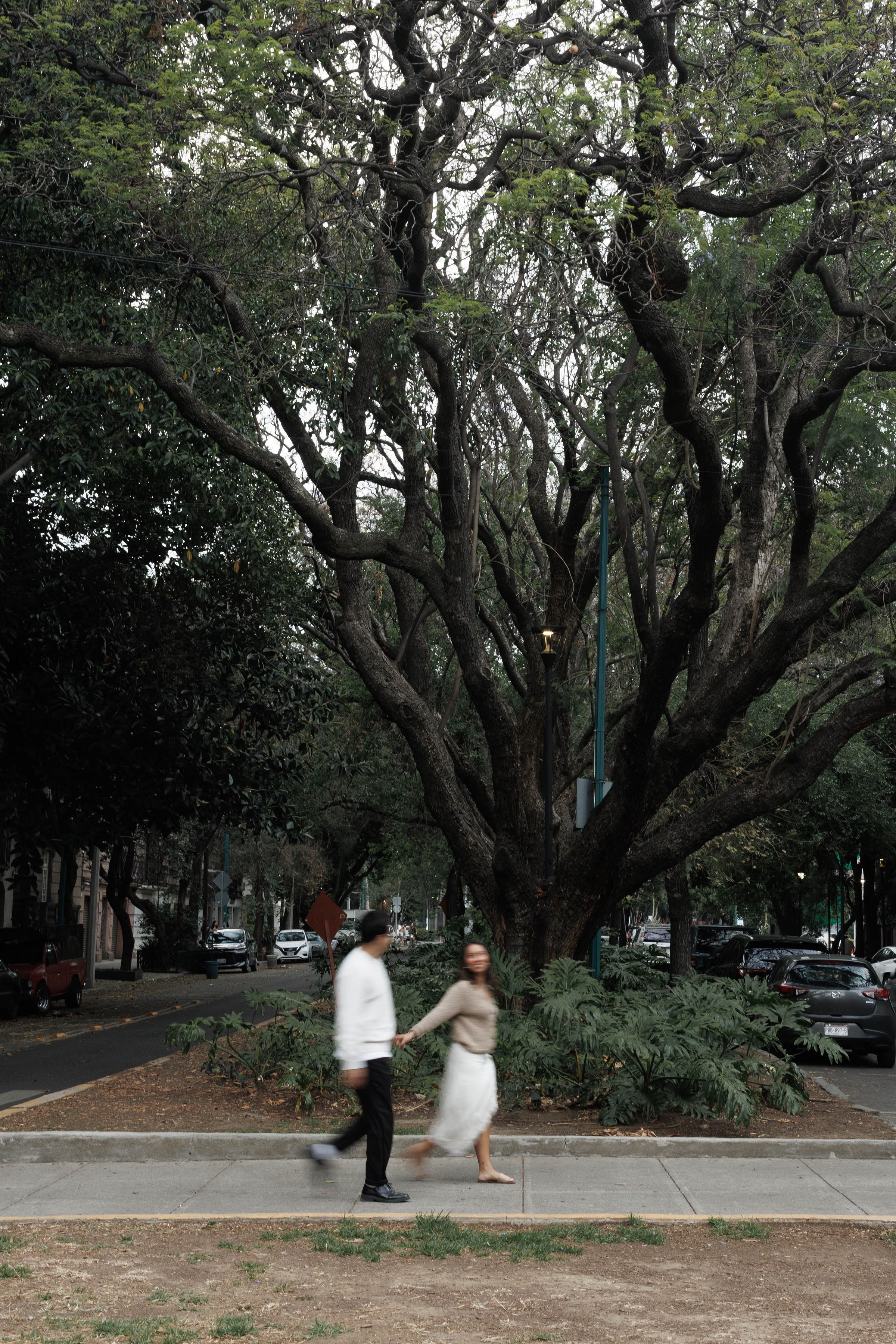 Isabella y David bajo el árbol